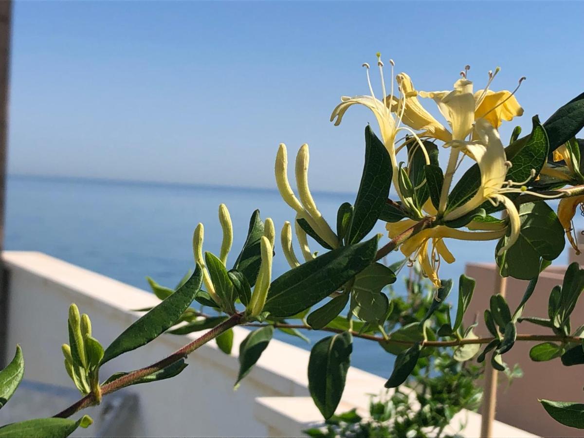 Apartamento Ático en la playa con terraza privada La Cala Del Moral Exterior foto